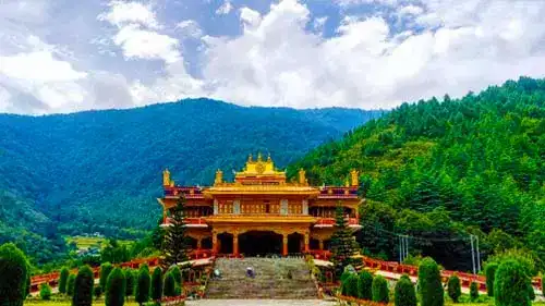 sightseen tour booking