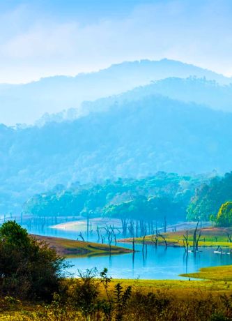 Periyar Wildlife Tour Package with Elephant Sighting